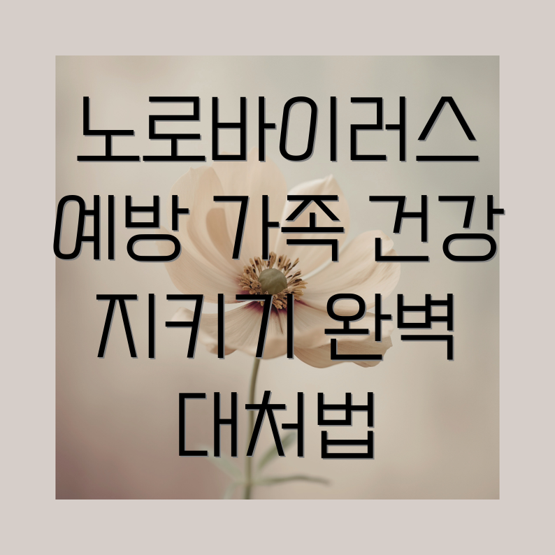 포커스 키워드를 찾을 수 없음