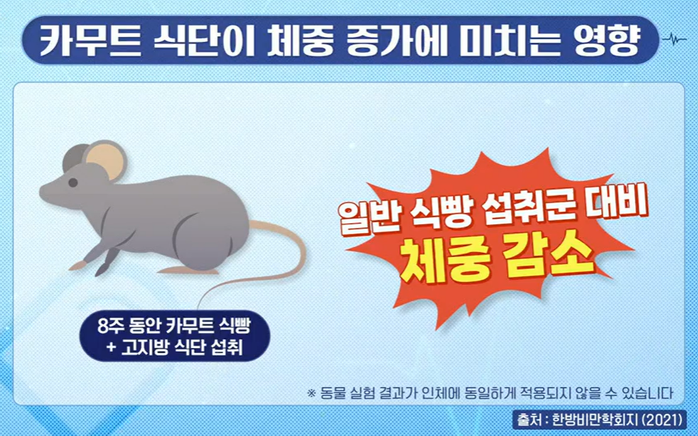 카무트 효소 효능