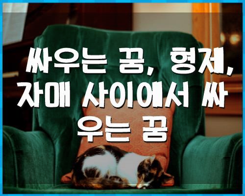 싸움 꿈, 형제자매 싸움 1