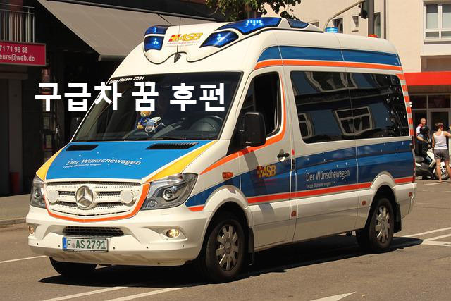  구급차의 꿈 상황별 꿈해몽 -후편