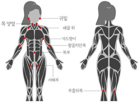 림프절 위치