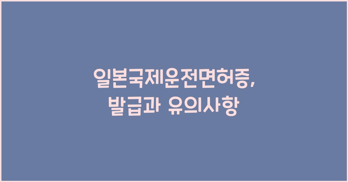 일본국제운전면허증