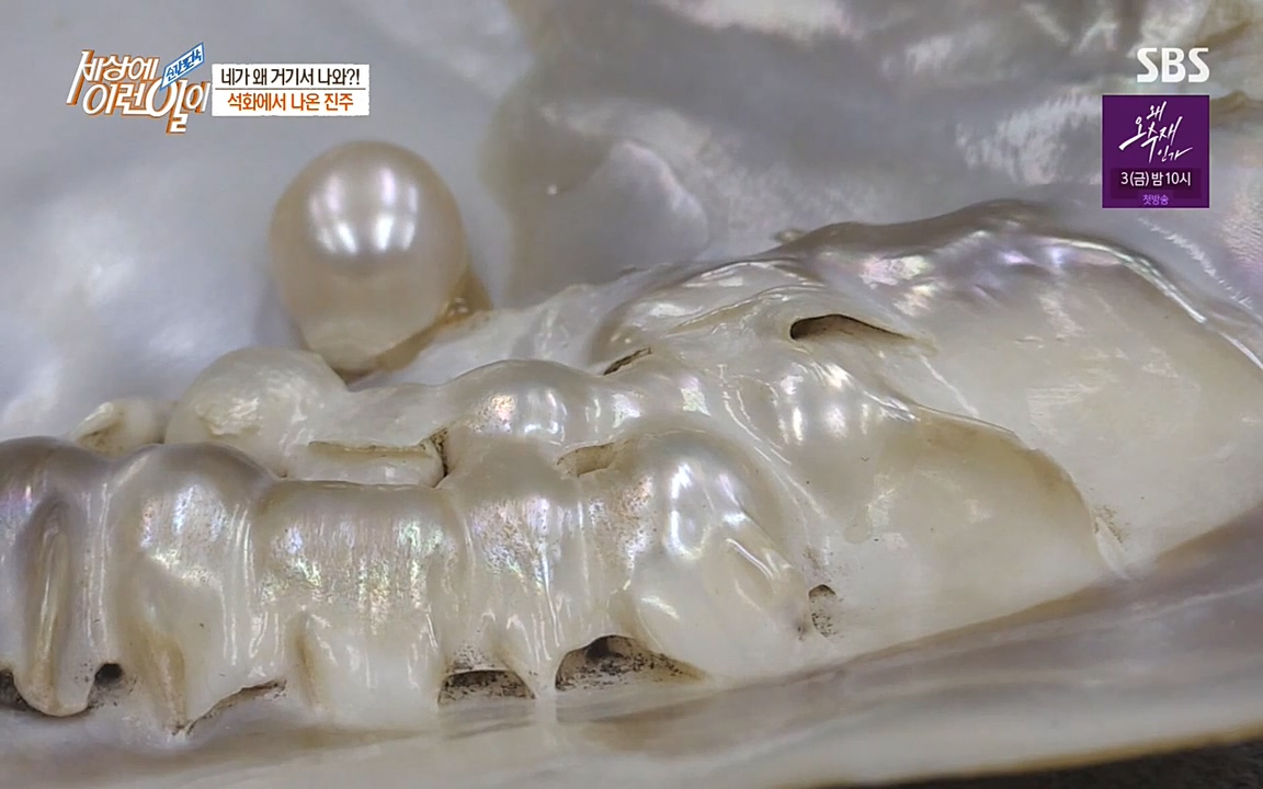 순간포착 세상에 이런일이.E1182.220532p-NEXT.mp4_20220601_173142.871.jpg