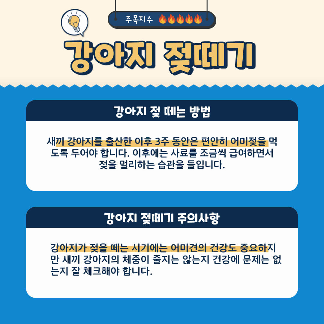 새끼 강아지 젖 떼는 방법 및 주의사항