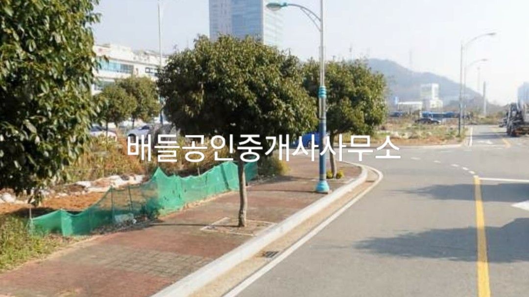 대지청과 이미지