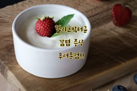 헬리코박터균 감염 증상, 예방 방법