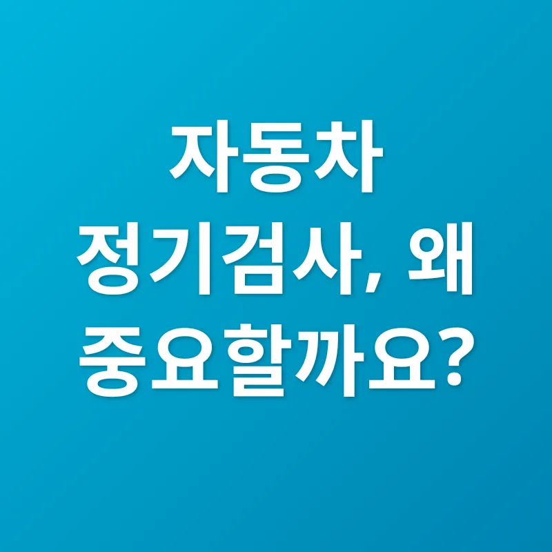 자동차 정기검사_1
