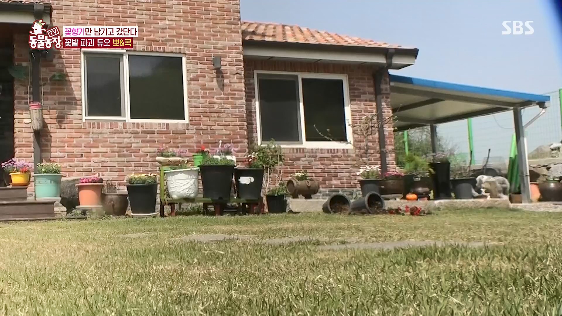 TV 동물농장.E1120.230514p.H264-F1RST.mp4_20230515_203528.807.jpg