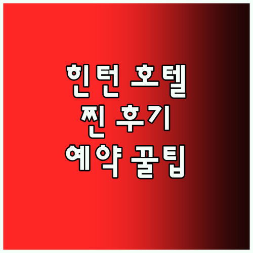 힌턴 호텔 완전 정복! ✨ 내돈내산 
