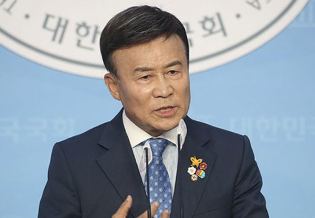 김원웅 정치활동