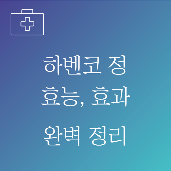 하벤코 정