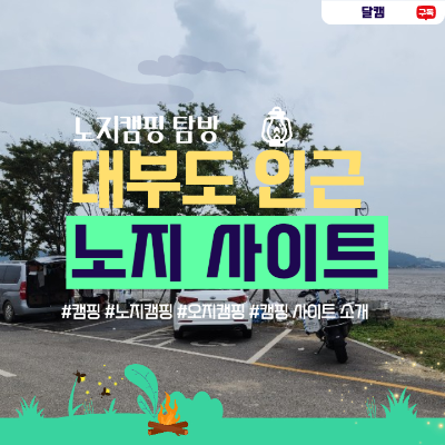  궁평항 숨겨진 비밀 노지 차박지 공개