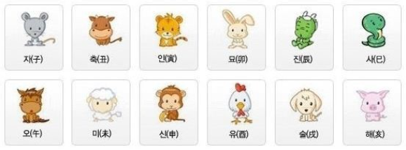  지지알기1]현실을 딛고 세상을 보라(자축인묘진사 편)