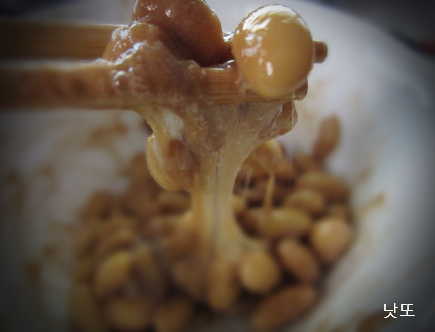  낫또 효능 낫또 칼로리 낫또 맛있게 먹는법까지 속속들이 살펴보아요
