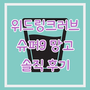 위드링크러브-슈퍼9-망고-후기-가격-미란다커-해독주스