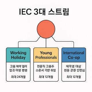 3개 스트림(WH / YP / IC)&nbsp;분기된 일러스트형 도식