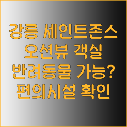 강릉 세인트존스 호텔.. 오션뷰 객실
