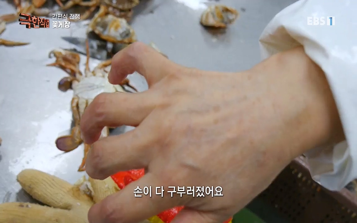 TV - 교육의 중심 EBS간편식 전쟁.mp4_20221002_184841.352.jpg