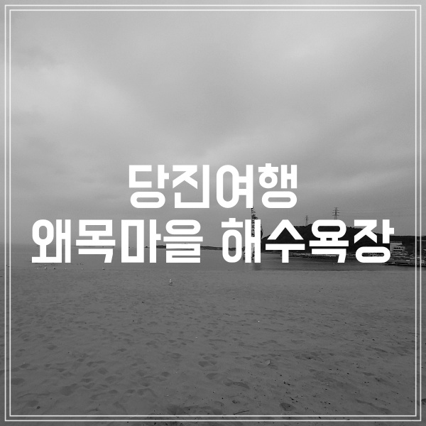  당진여행 왜목마을 해수욕장 갈매기