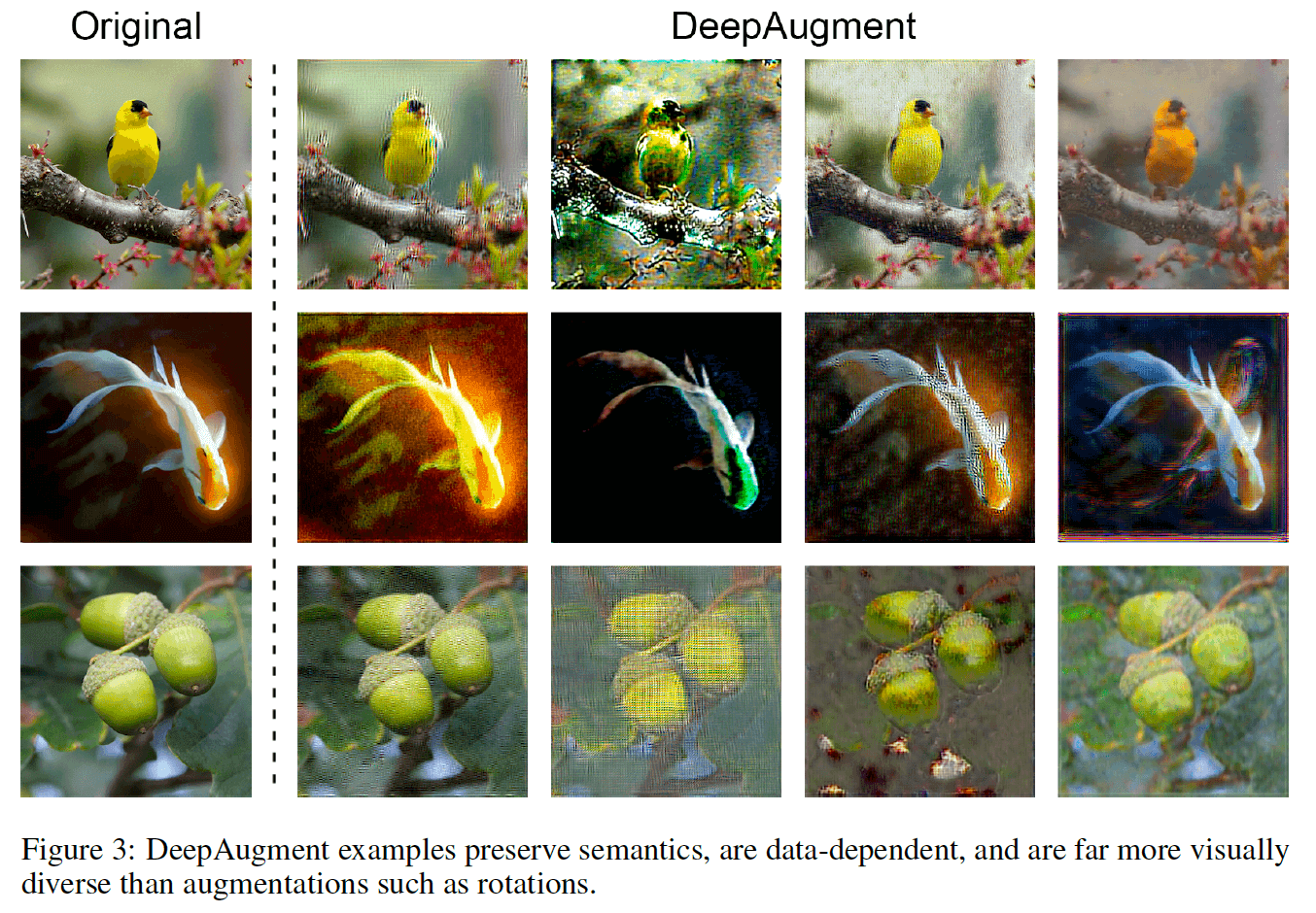 3.DeepAugment