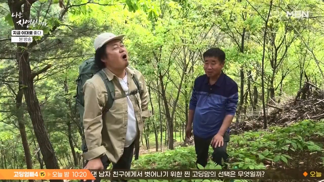 나는 자연인이다.E605.240516p-NEXT.mp4_20240516_194924.431.jpg