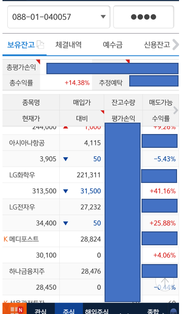  엘지화학 투자자가 보는 엘지화학 분할 이슈