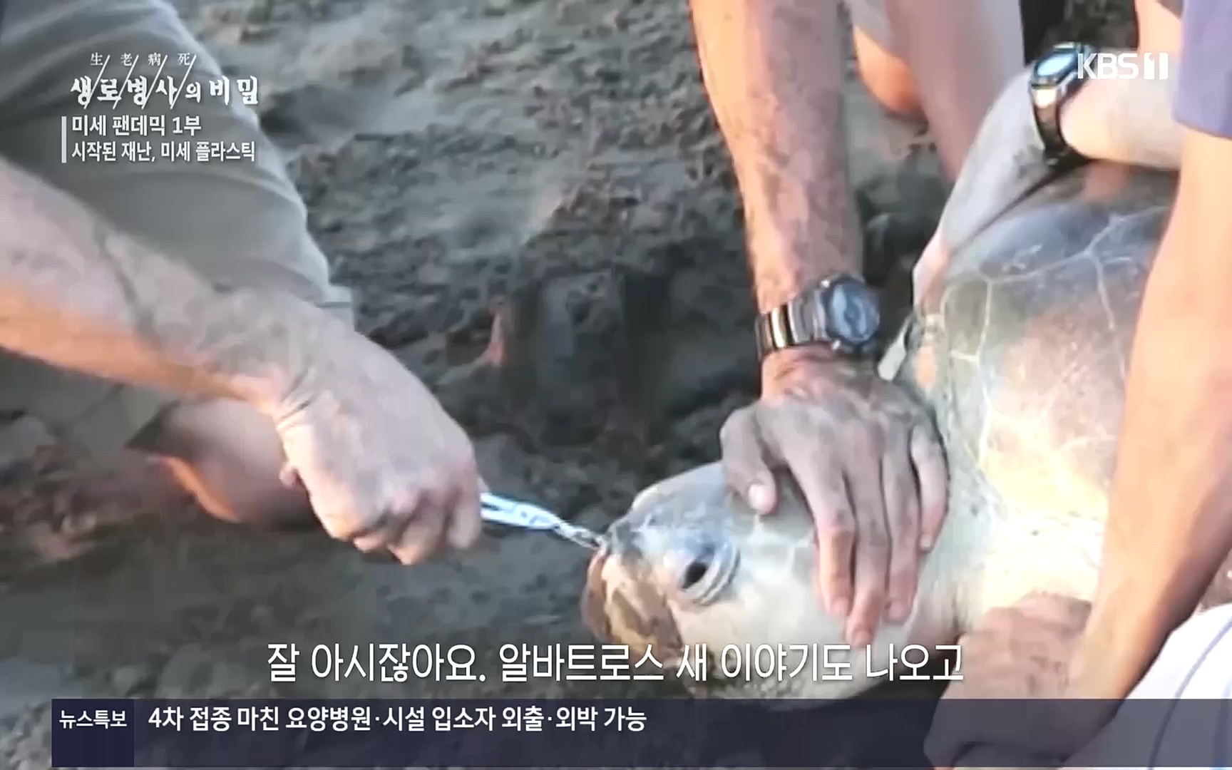 생로병사의 비밀.E839.221012p.H264-F1RST.mp4_20221013_205056.740.jpg