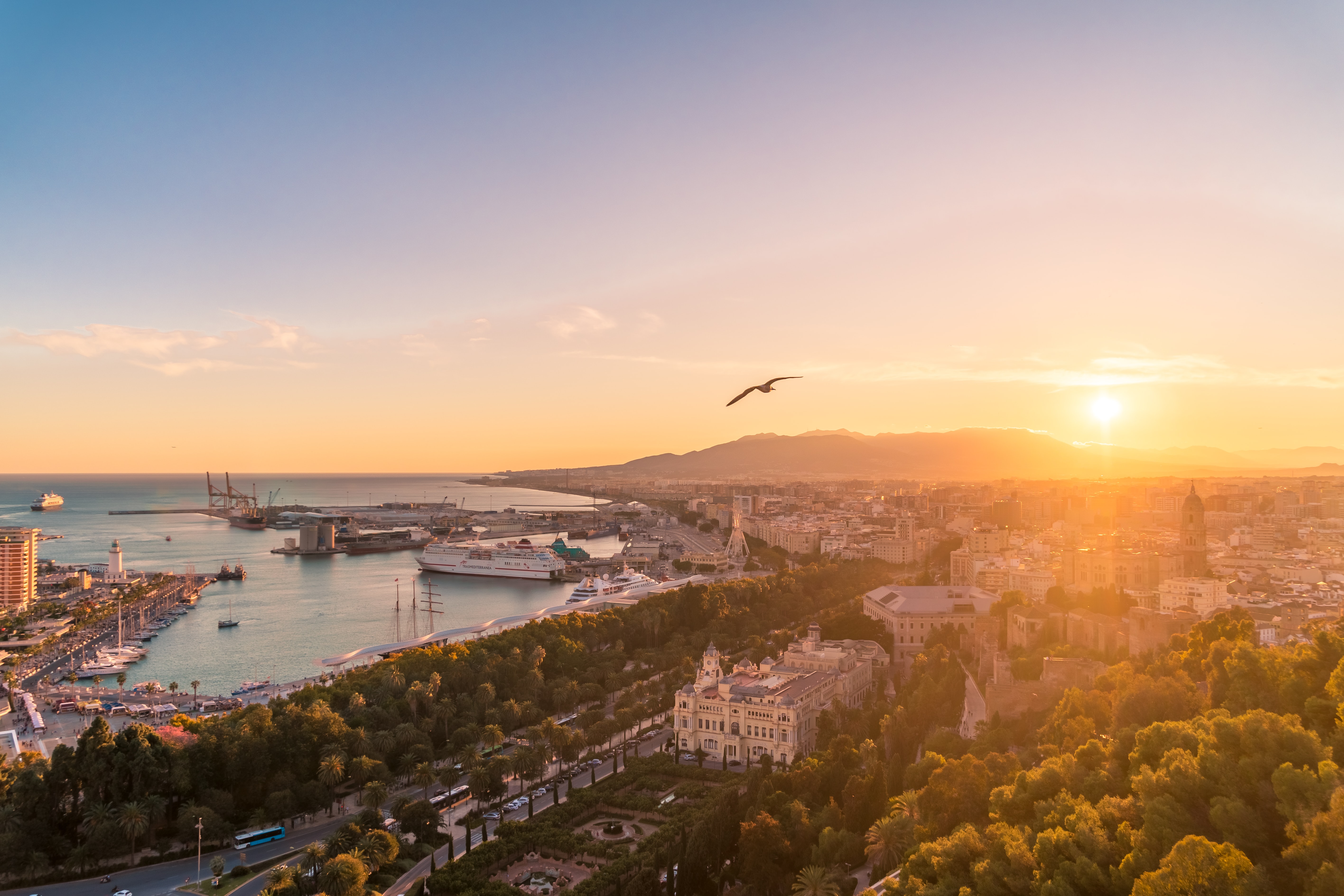  Enjoying a Trip with Starbucks: Discovering Spain's Special Store, Landmarks, and Menus