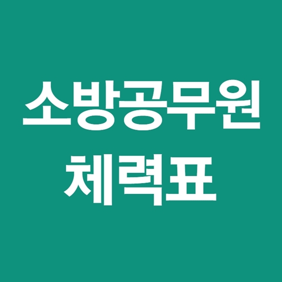 2020 소방 체력표 간단정리