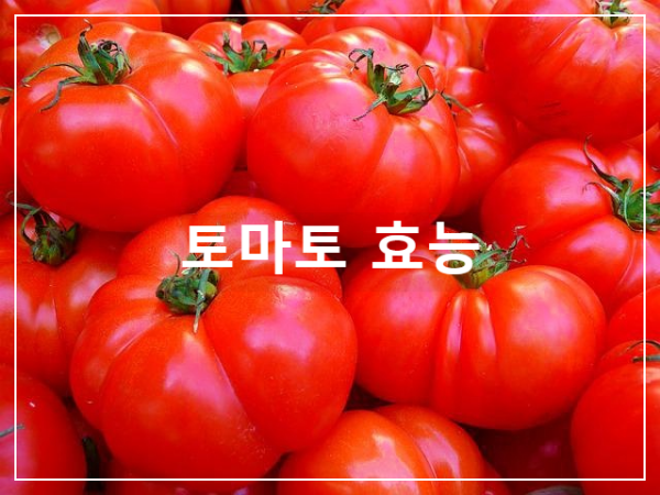 토마토