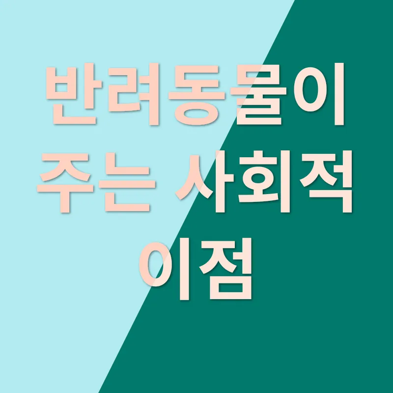 반려동물 키우기_3