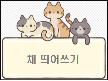 채 띄어쓰기 채 띄어쓰기