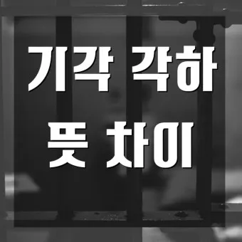 기각 각하 차이 인용 기각 각하 정확한 사용법_8