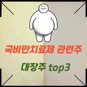 비만치료제 대장주 관련주 TOP5 총정리_21