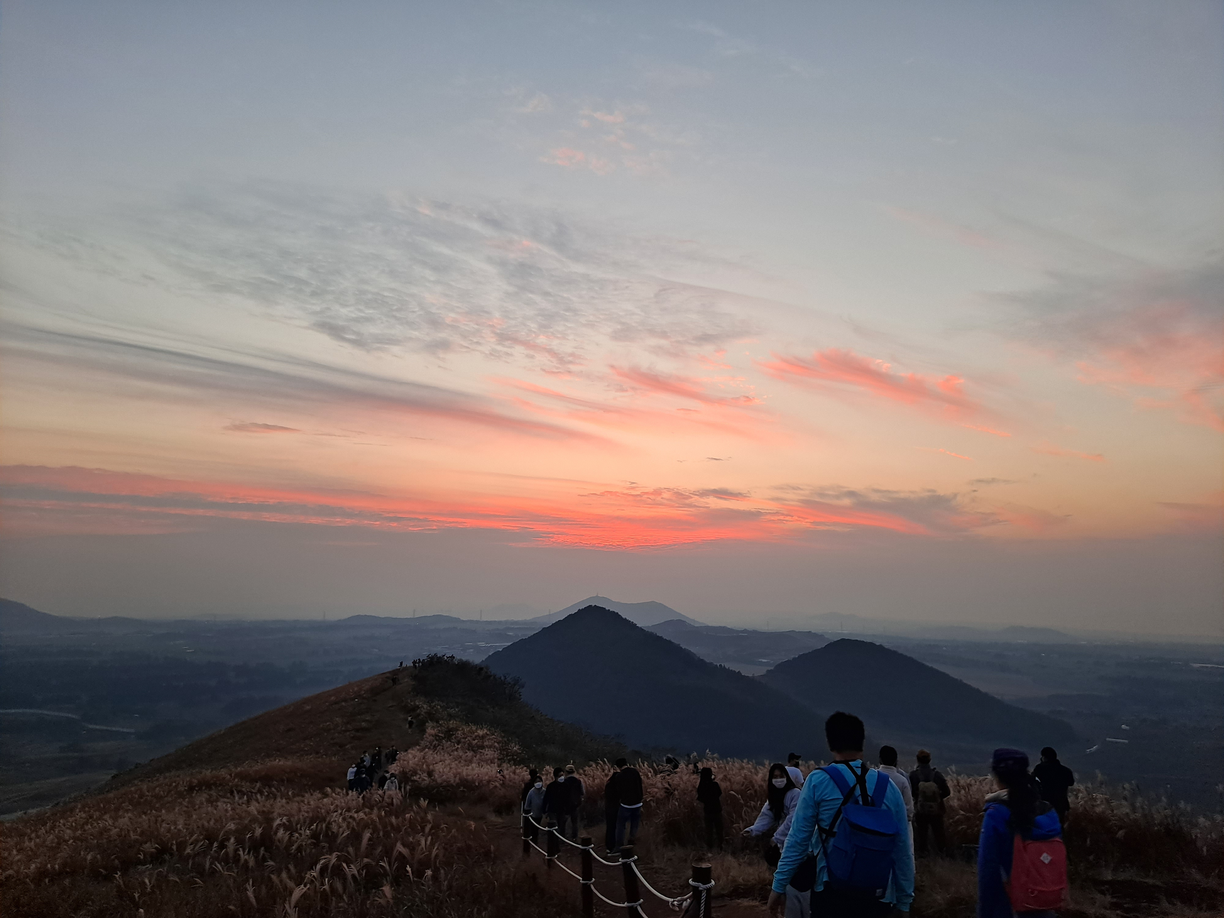 제주도-가볼만한곳-10곳-새별오름