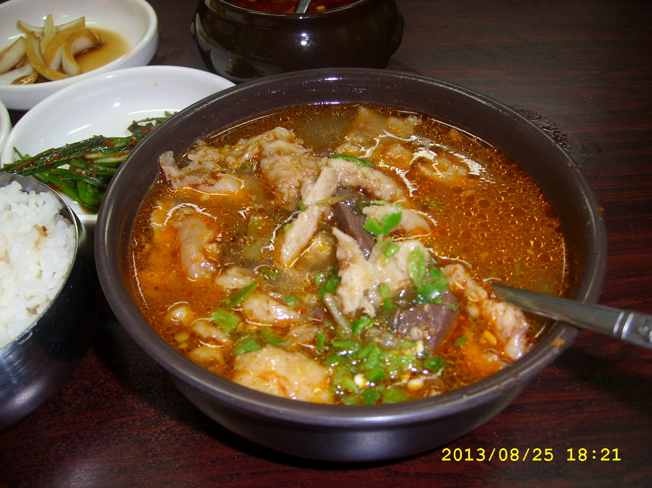 합천 창녕보 가는 길 53