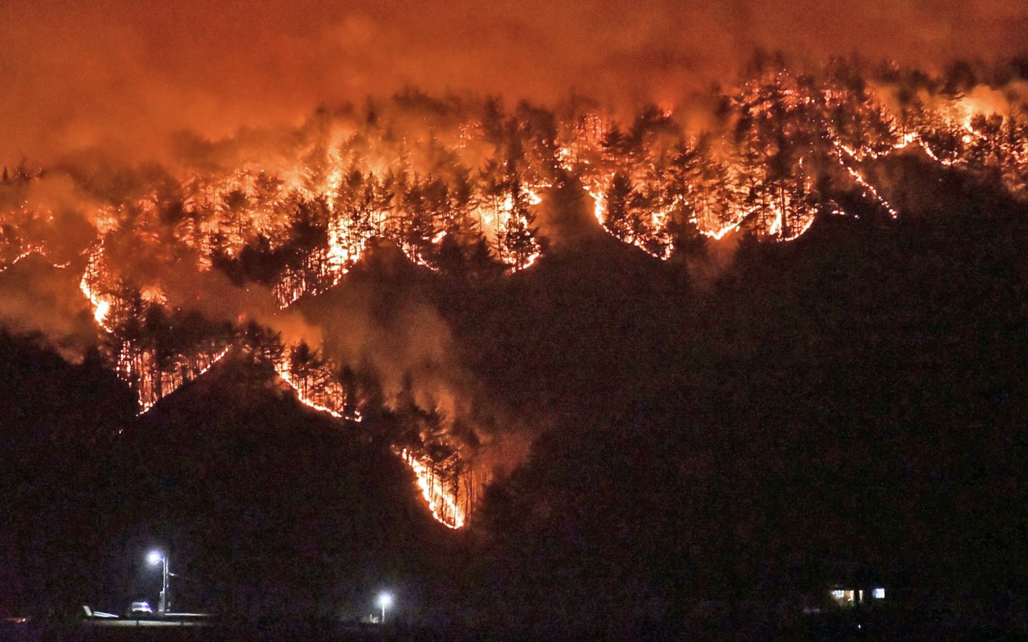 경남 울진에서 시작한 산불이 삼척시로 번진 모습 
산불이 산 전체를 뒤덥고 하늘이 주황색과 붉은색으로 물들어있다.