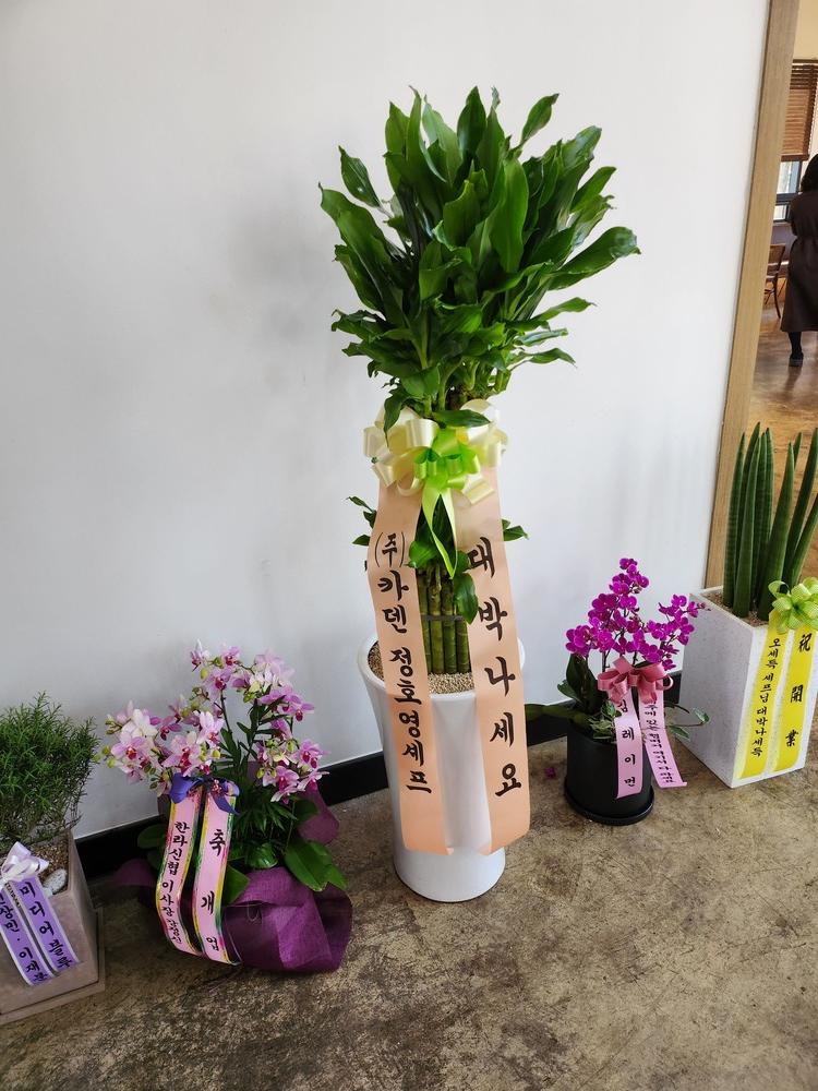 친밀 내부 화환
