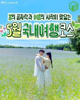 비행기 없이 떠나는 국내 숨은 여행지 발견하는 특별한 방법_11