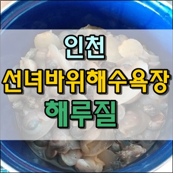  인천 선녀바위해수욕장 해루질