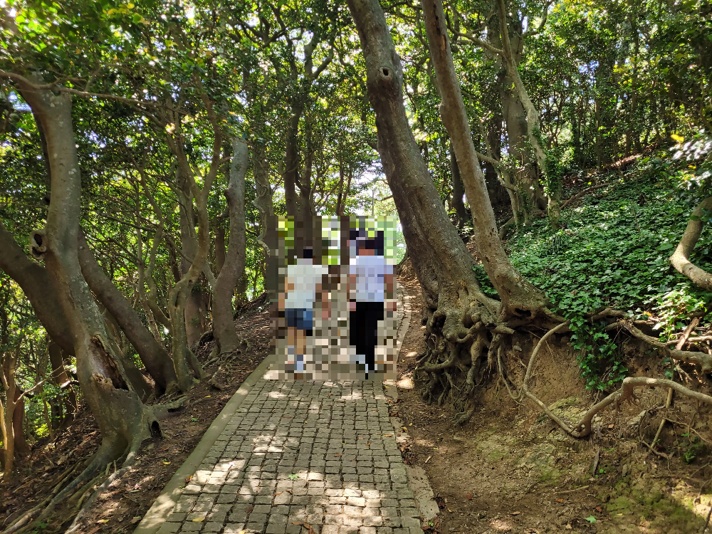 울릉도 모노레일