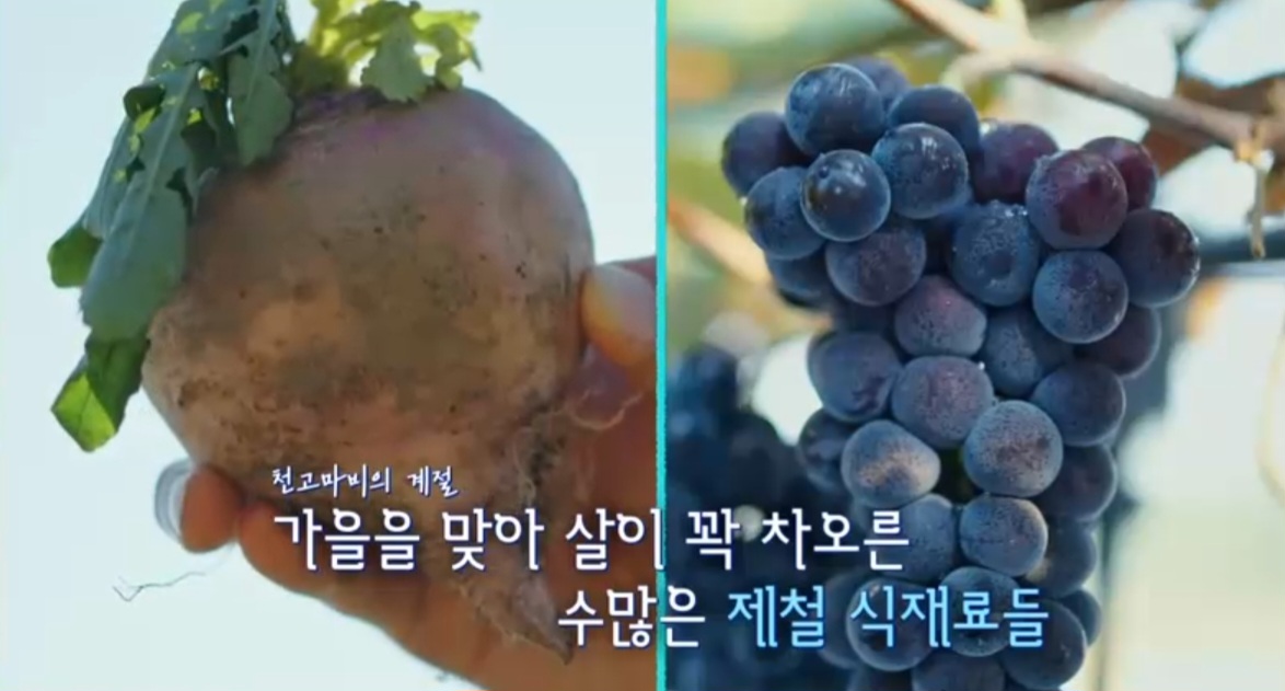 언니네산지직송 강화도 꽃게탕 맛집 &amp; 촬영지 위치와 정보