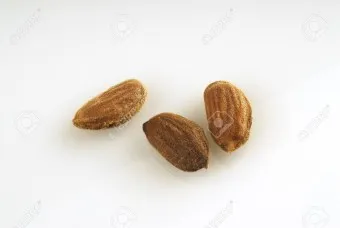 아몬드 효능 하루 섭취량 칼로리_4