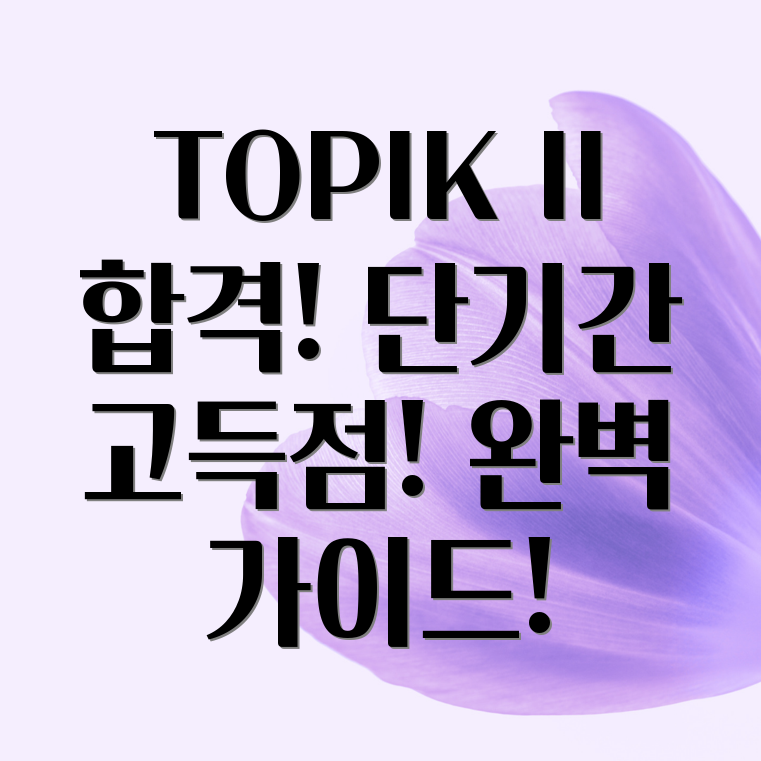 TOPIK II 합격