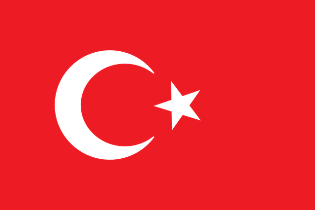 튀르키예 국기 사진