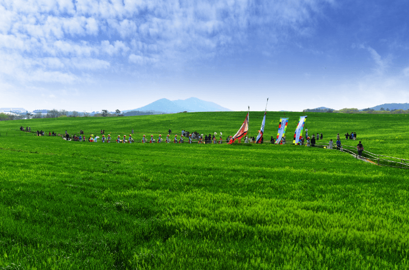 고창 청보리밭 축제