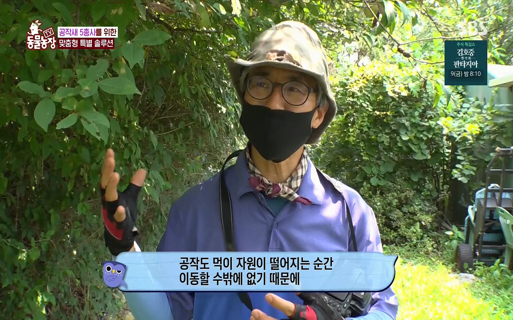 TV 동물농장.E1084.220828p.H264-F1RST.mp4_20220828_154054.494.jpg