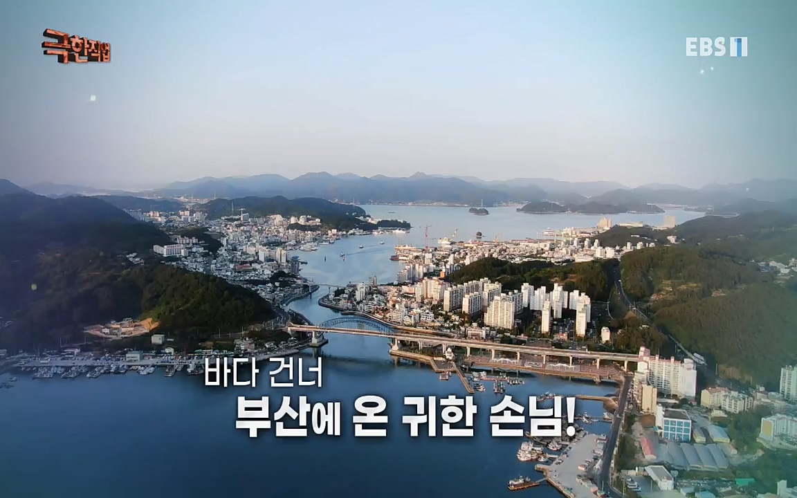 TV - 교육의 중심 EBS생선가공의 세계!-냉동참치, 참치액. 순살생선-.mp4_20220906_201928.023.jpg
