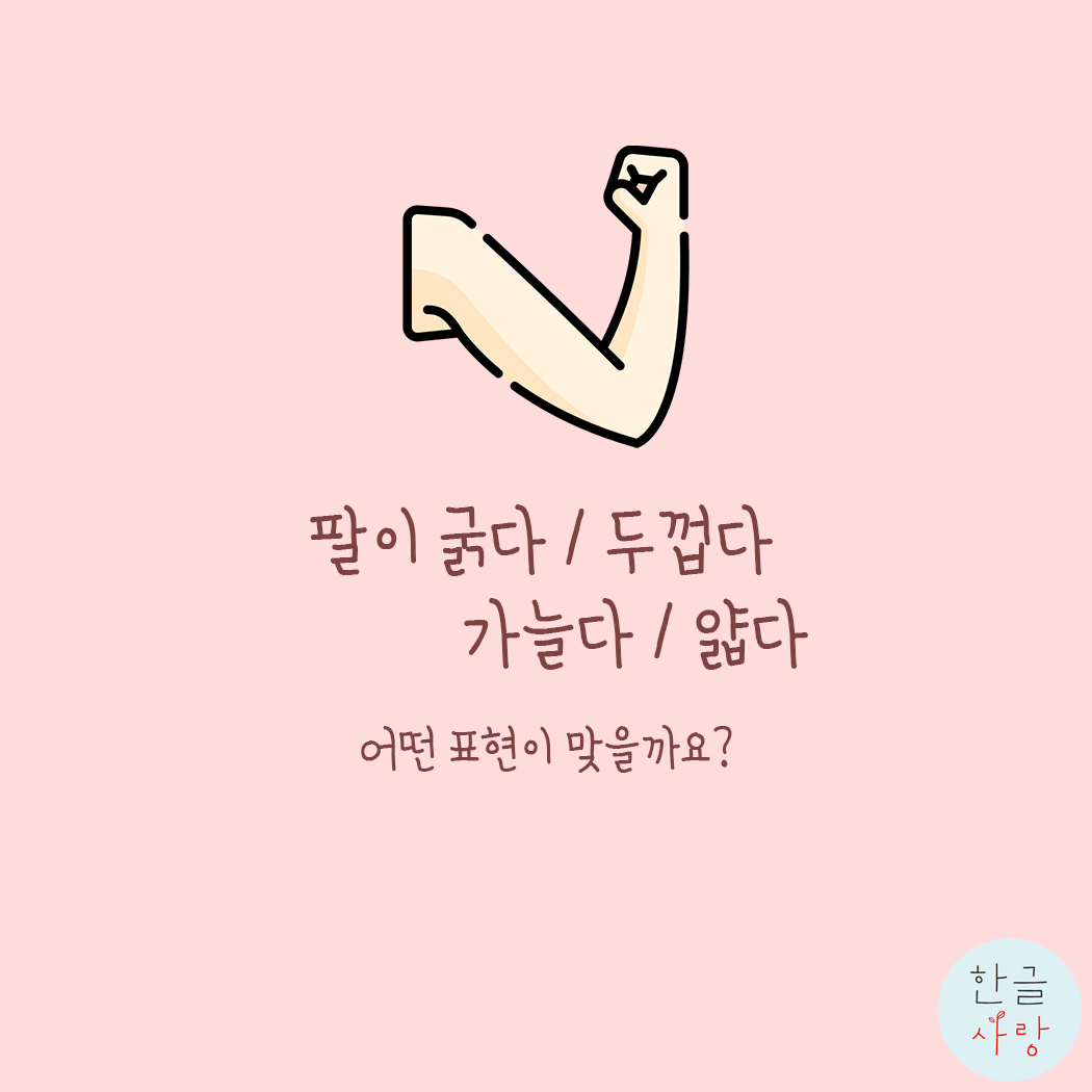  팔뚝이 굵다 / 두껍다, 가늘다 / 얇다 무엇이 맞을까요?
