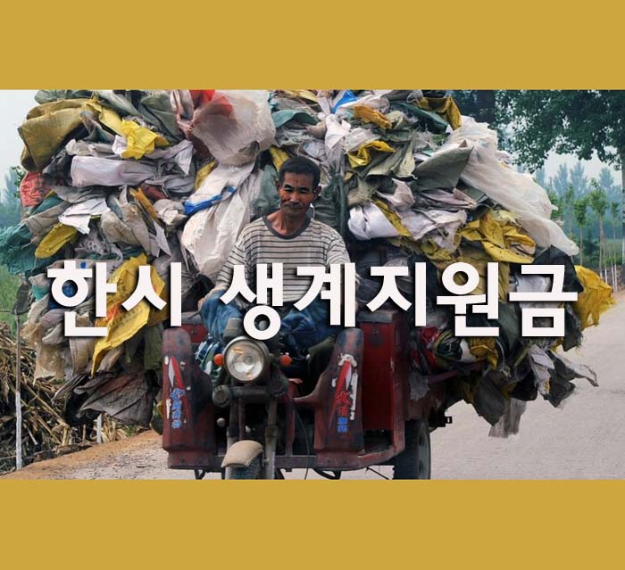  한시 생계지원금 대상 신청방법 긴급생계지원금
